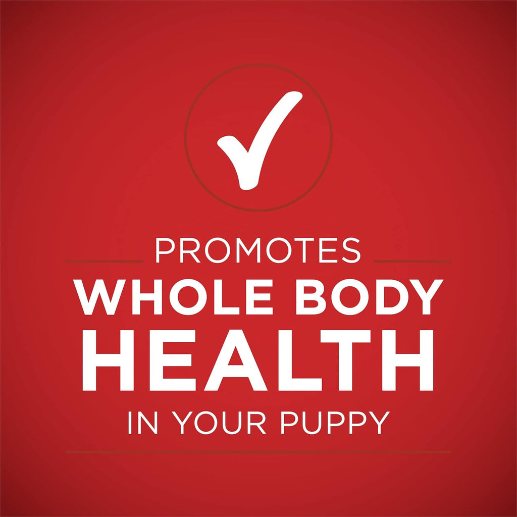 Purina ONE +Plus Healthy Puppy Wet Dog Food