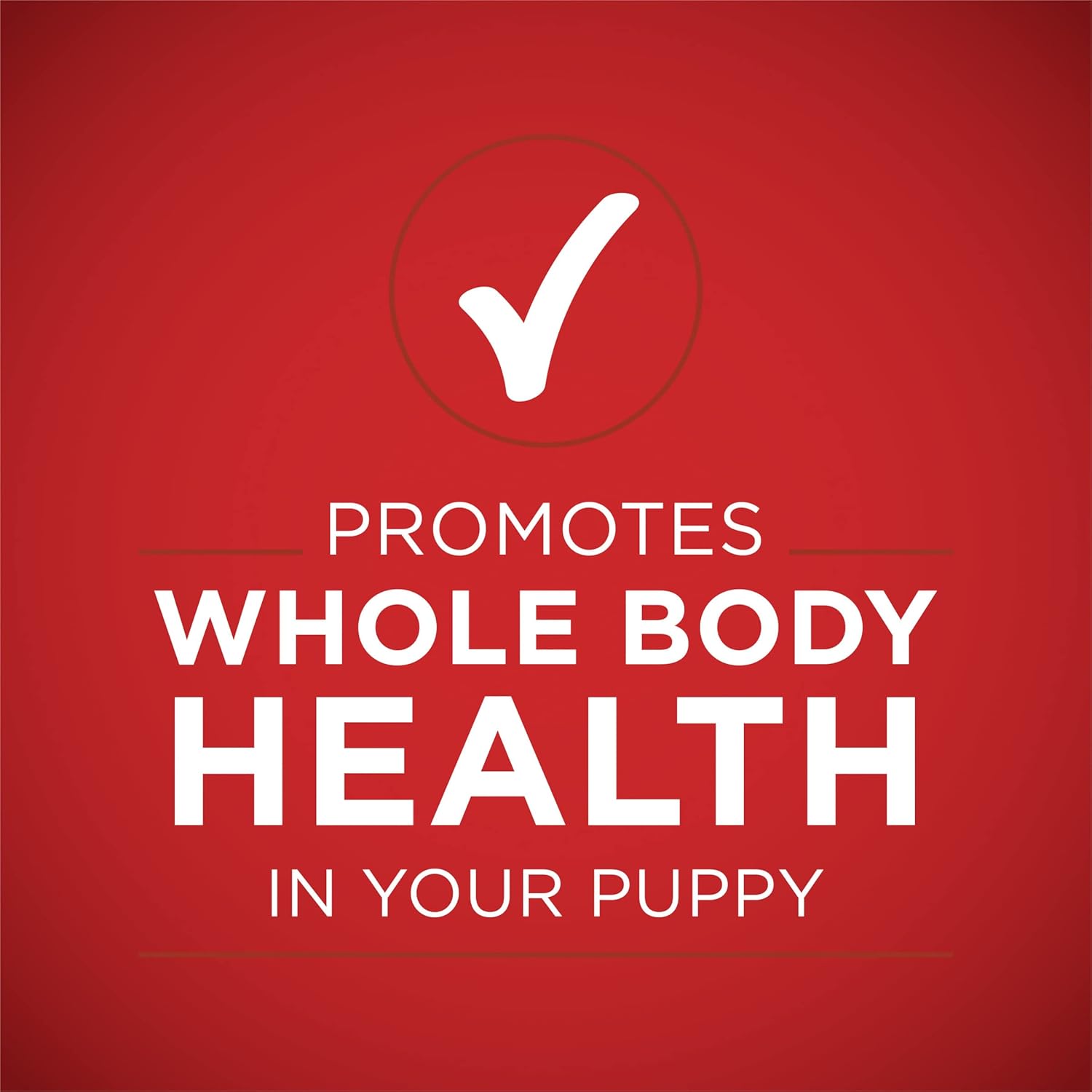 Purina ONE +Plus Healthy Puppy Wet Dog Food