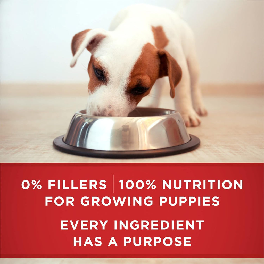 Purina ONE +Plus Healthy Puppy Wet Dog Food