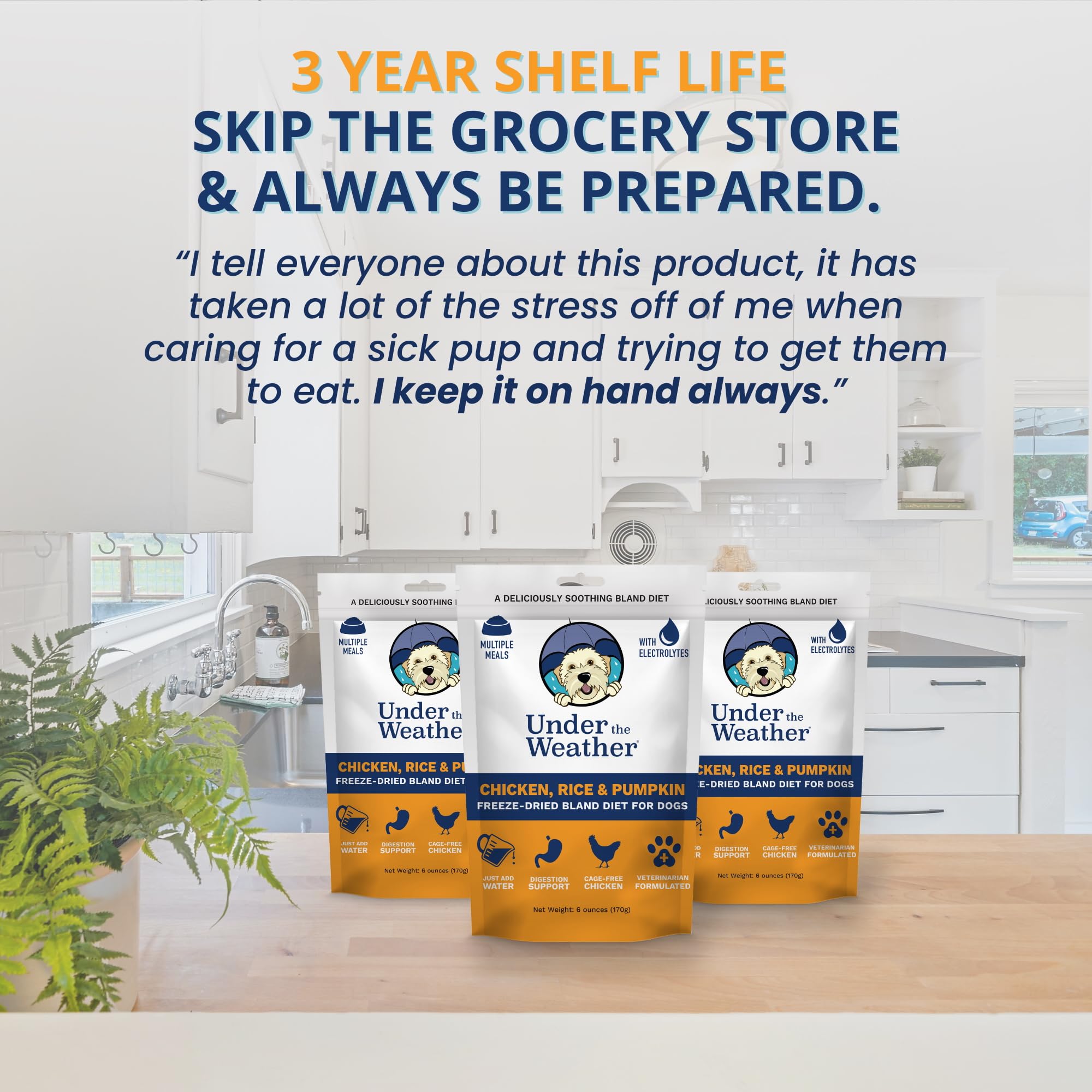 Under the Weather Bland Diet for Dogs